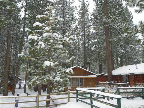 Big Bear City Соединенные Штаты бронирование booking.com