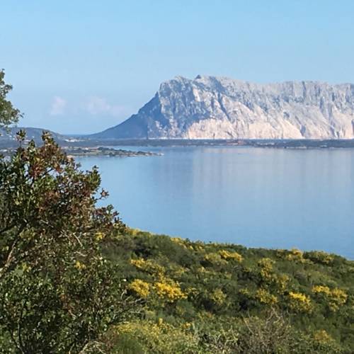サンテオドロ イタリア 予約 San Teodoro booking.com