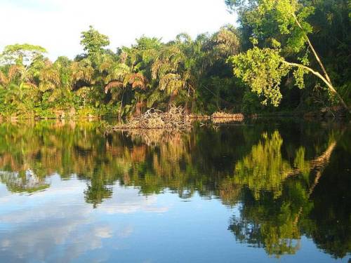 Gandoca Costa Rica reservation booking.com