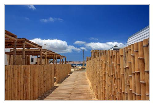 パラカス ペルー 予約 Paracas booking.com