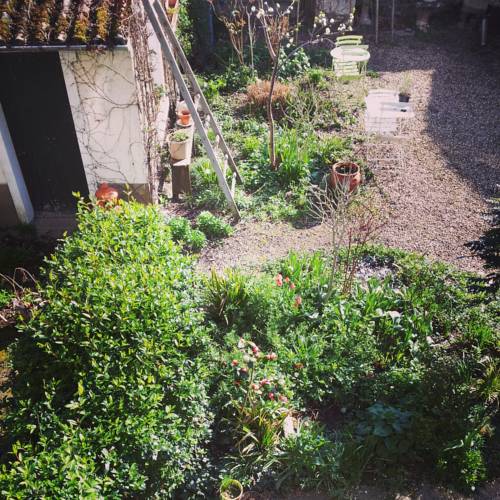 Selles-sur-Cher France reservation booking.com